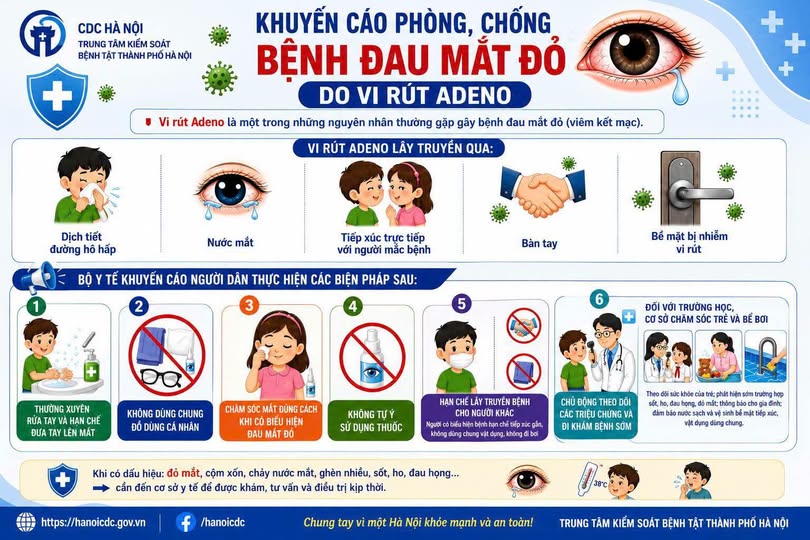 /Images/companies/Thầu 2026/tháng 7/Adeno dau mat do.jpg